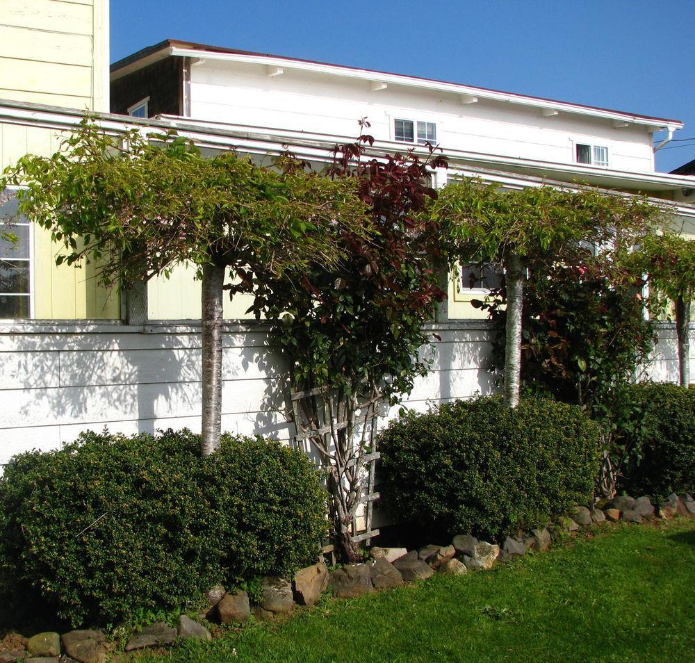 Pacific City Inn Экстерьер фото